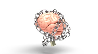 Brain-3446307 1920