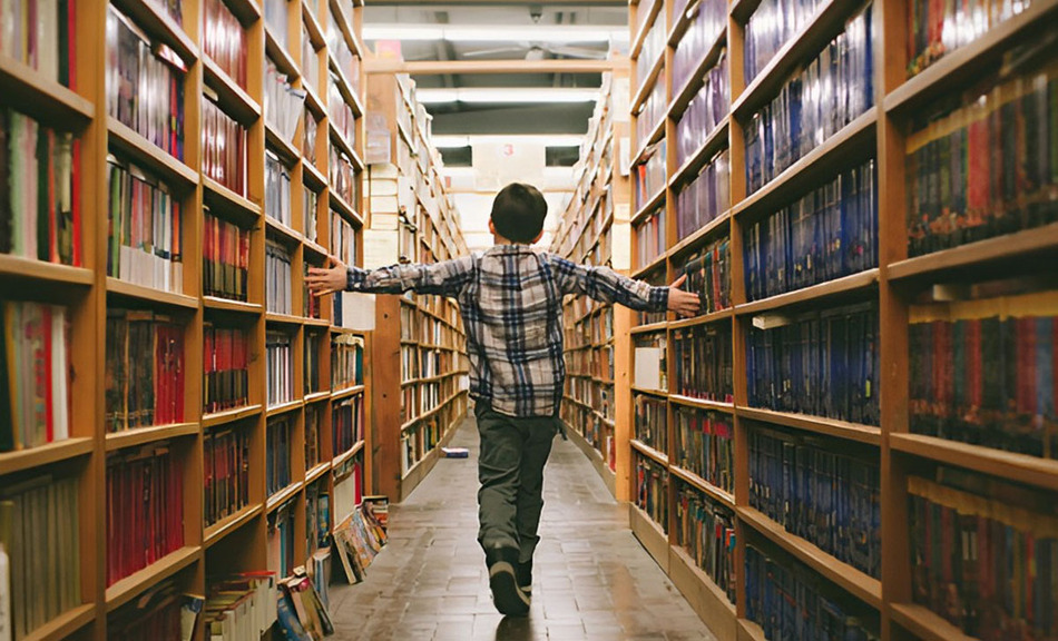 Bildung